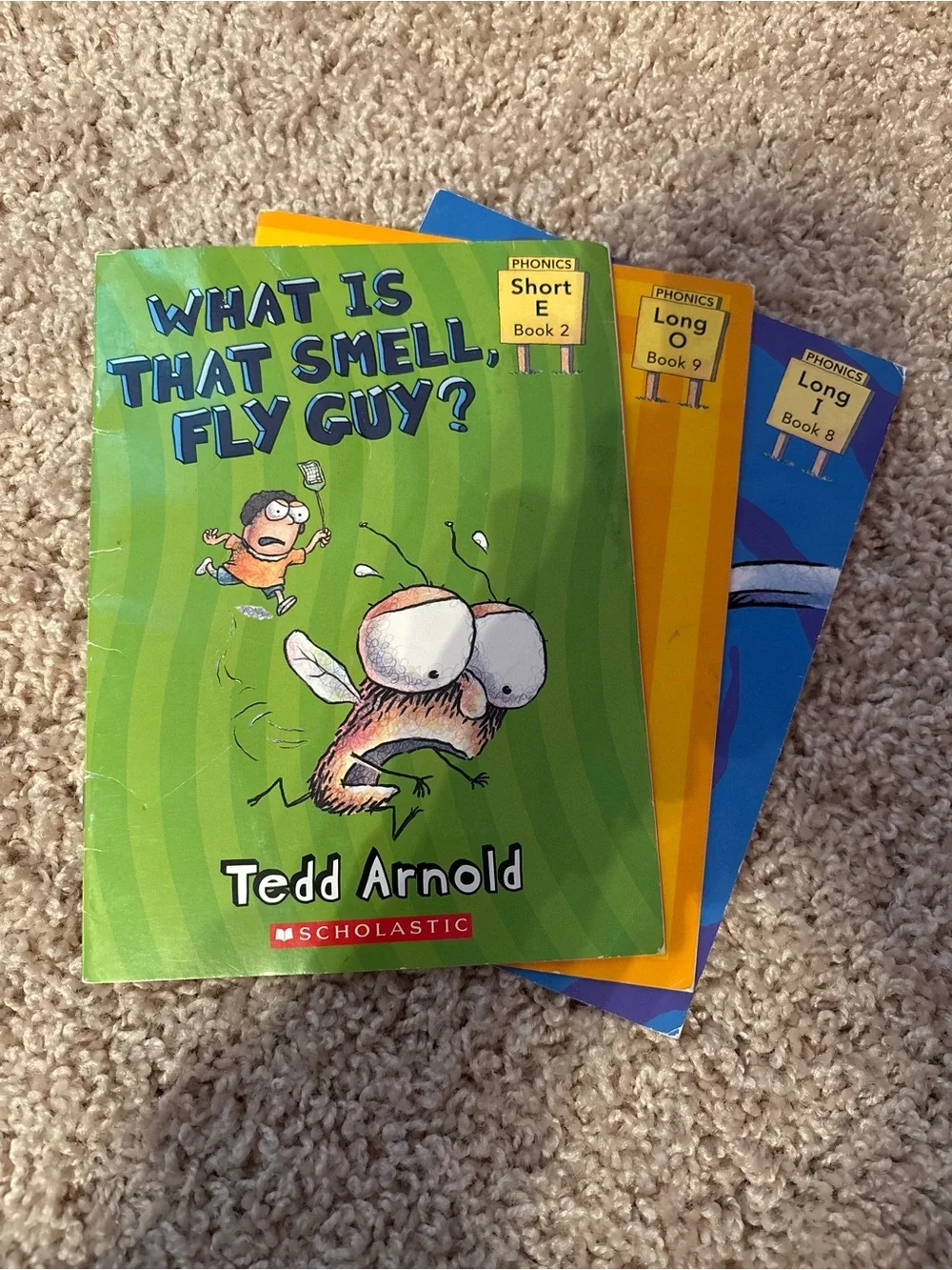 Fly Guy Phonics Scholastic Kids Book by Tedd Arnold